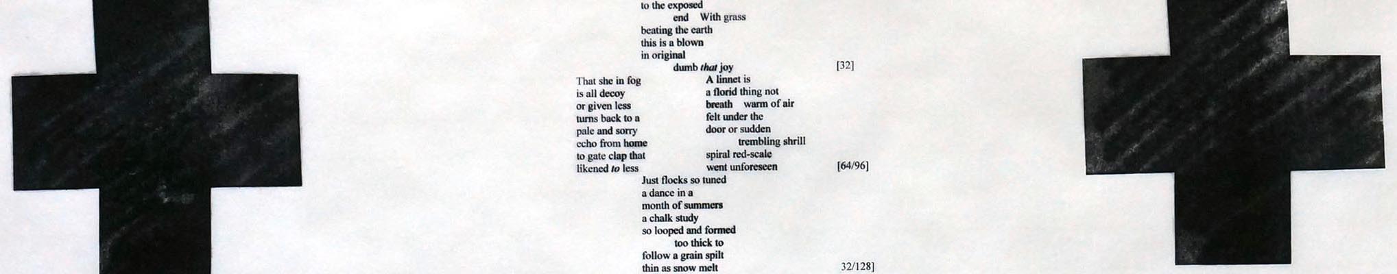 Detail of "32x+". Carbon toner and solvent transfer on mulberry paper.